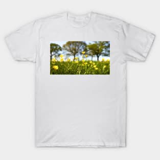 Beautiful Springtime Buttercup Meadow T-Shirt